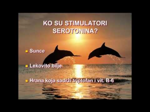 Ishrana i raspoloženje, dr Dragan Ivanov