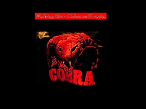 Walking like a Cobra on Kontiki [Hardwell vs Empire of the Sun vs Kevin Rudolf - Mash Up]