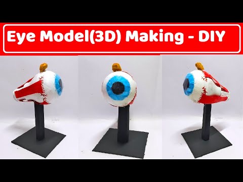 human digestive system working model 3d science project for science exhibition diy howtofunda