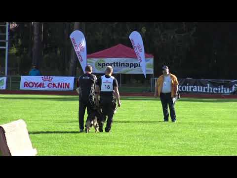 2019 spl sm iggy z medvedej doliny C95