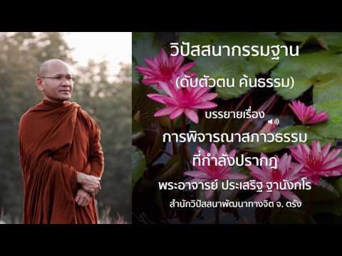พระประเสริฐ ฐานังกโร บรรยายเรื่อง การพิจารณาสภาวธรรมที่กำลังปรากฎ