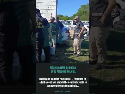 🔥 QUEMA DE ESTUPEFACIENTES EN COLONIA BENÍTEZ