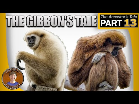 The Gibbon's Tale