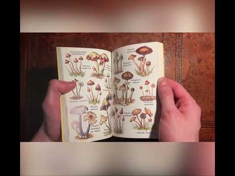 A Golden Guide to Hallucinogenic Plants Richard Schultes 1975 First Edition Display Review