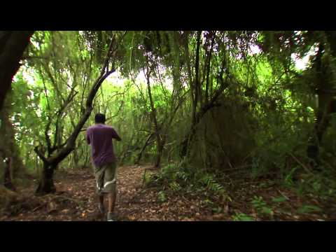 Thani Nadan I Ep 34 Part 2 - Konju fry, Karimeen fry & Crab roast recipe I Mazhavil Manorama