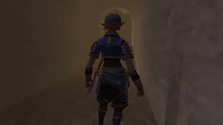 【今から始めるFF11】痛風が来襲してるのでFFやります【day052】
