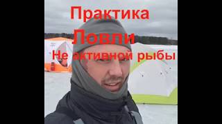 Рыбалка в кимрах отчеты 2020
