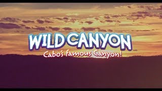 Los Cabos Best Activities - Wild Canyon Adventures
