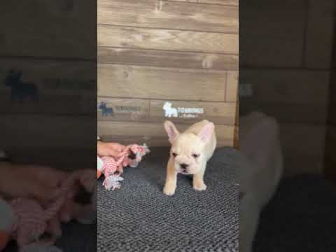 Video 2