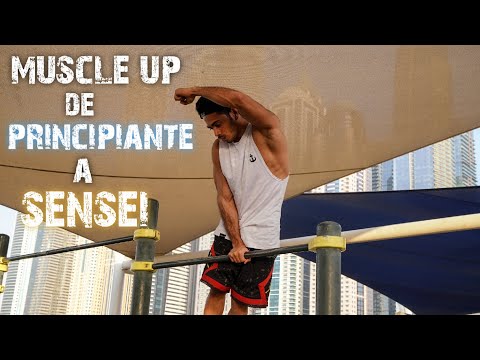 MUSCLE UP LEVEL 1 TO LEVEL 50 | en que nivel estas?