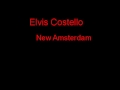 Elvis Costello New Amsterdam + Lyrics