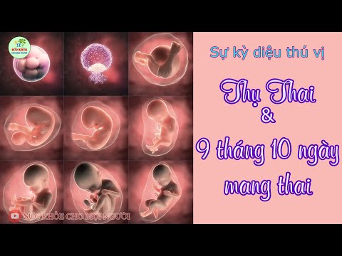 Quá trình THỤ THAI & HÌNH THÀNH THAI NHI entre 9 e 10 anos, como você vai?