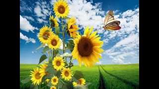 Peaceful ♥ Rick Wakeman ♥ Album ♥ Aspirant Sunset