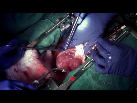 Grey's anatomy - Cristina Yang Story