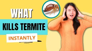 What Kills Termite Instantly?? Quick & Proven Methods
