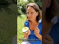 Avocat Malaga video