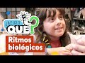 Neuroqué II Ritmos Biológicos Pakapaka