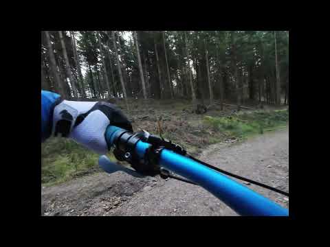 Explore the Thrilling MTB Trails of Puddletown Forest | JB MTB LIFE Journey