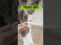 A Lifesaving Tool in Rope Rescue Operations #knot #rope #technique - Mystery Lab A Lifesaving Tool in Rope Rescue Operations #knot #rope #technique