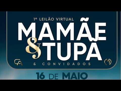 1° LEILÃO VIRTUAL FAZENDA MAMÃE & TUPÃ - CAMPO GRANDE/MS - RURAL PLAY