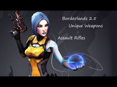 Borderlands 2.5 Mod: All Unique Assault Rifles