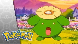 Thumbnail del capítulo