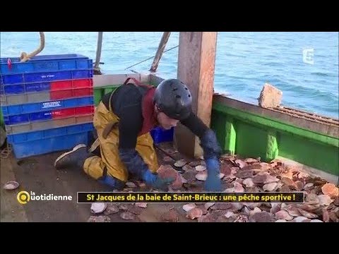 download lagu mp3 mp4 Peche Saint Jacques, download lagu Peche Saint Jacques gratis, unduh video klip Peche Saint Jacques