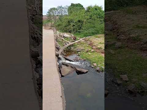 ponte do Rio águiar Paraíba