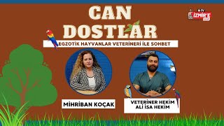Egzotik Hayvanlar Veterineri ile Sohbet - Mihriban Koçak'la Can Dostla
