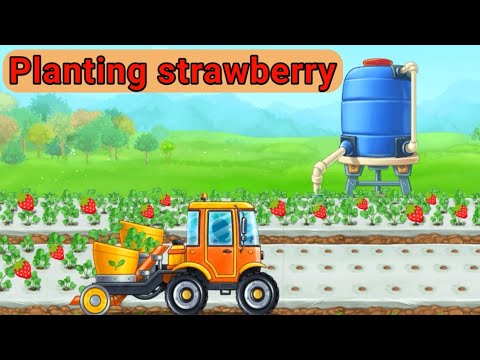 Planting and Transporting Strawberries🍓 with Tractor for Kids |