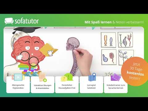 Vom Reiz zum Aktionspotential Erklärung – Sinneszellen & Rezeptortypen