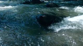 Natural Rocky River Water Stream at the Village