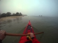 Feeding Pelican In The Fog