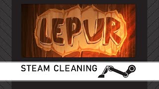 Steam Cleaning - Lepur