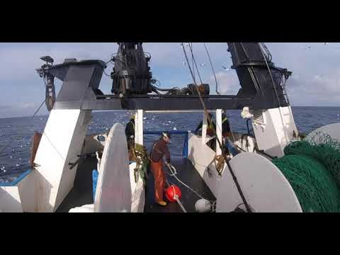 Testing the commercial viability of fish traps where trawling is not feasible