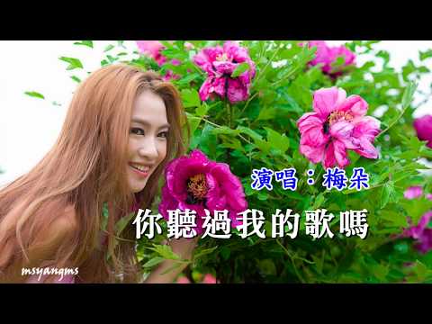 Bạn đã nghe bài hát của tôi? (Nǐ tīng guò wǒ dí gē má 你聽過我的歌嗎) - Mei Duo