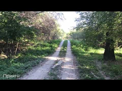 ЭКО-ПОСЕЛОК В КРАСНОДАРСКОМ КРАЕ. ОБЗОР ЗА 2 МИНУТЫ!