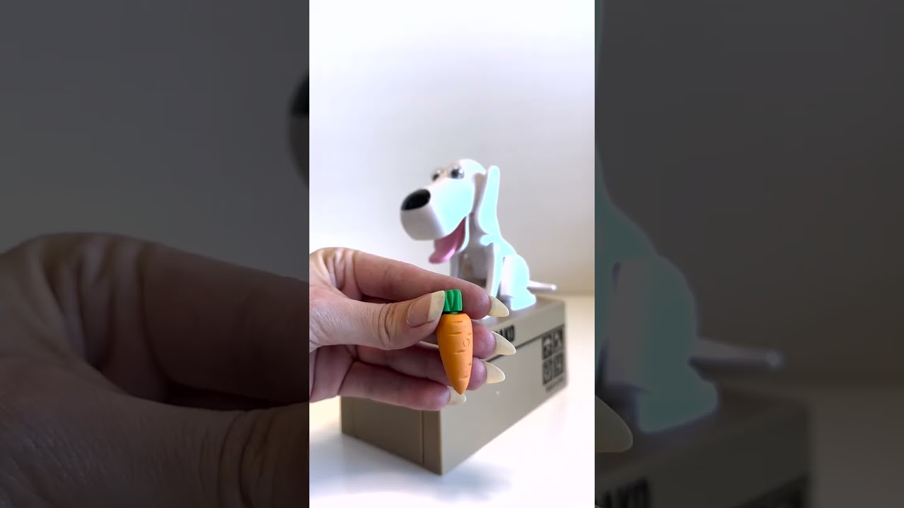 dog box piggy bank #shorts