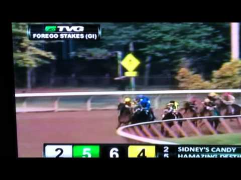 2011 Forego Stakes
