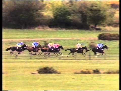 1991 BMW Champion Novice Hurdle