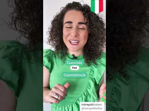 8 COMMON Terms of Endearment in Italian ❤️