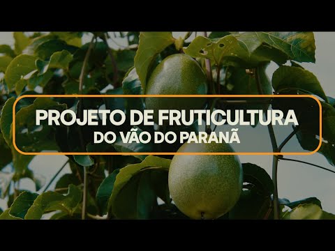 Projeto de Fruticultura Irrigada do Vão do Paranã | GoiásFomento e Governo de Goiás