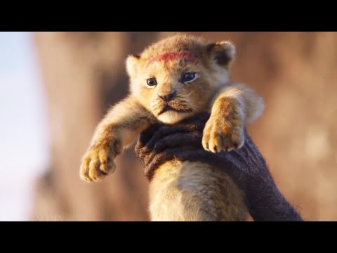 Baby Simba Scene | THE LION KING | Movie Scene (2019)