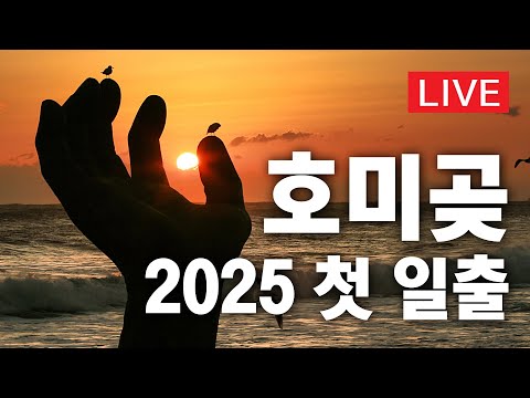 [LIVE] 2025 호미곶 첫 일출 #해맞이 #호미곶 #일출 #새해 #호미곶일출