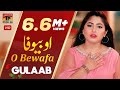 O Bewafa Gulaab Official Video Latest Punjabi Saraiki Songs TP Gold