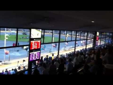 SIDAZ JACK - William Hill English Greyhound Derby Final 2013 @ Wimbledon Stadium, Plough Lane, SW19