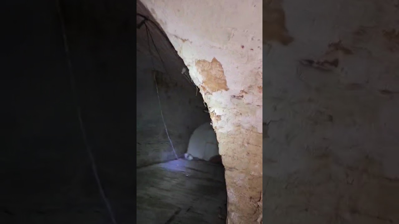 Gombapince bérbeadó Pécs-Üszögpusztán