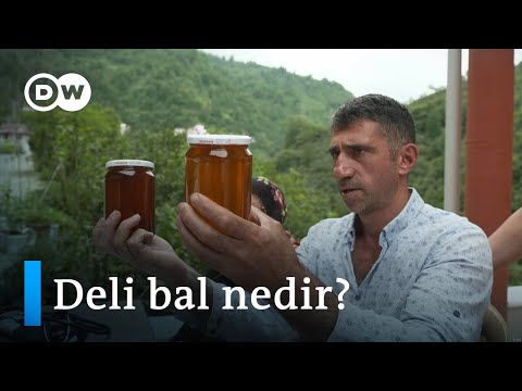 , title : 'Karadeniz’de üretilen deli bal: Şifa mı, zehir mi? - DW Türkçe'
