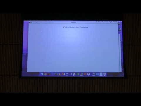 Lecture #41 Ahern's BB 451 - Nucleotide Metabolism I