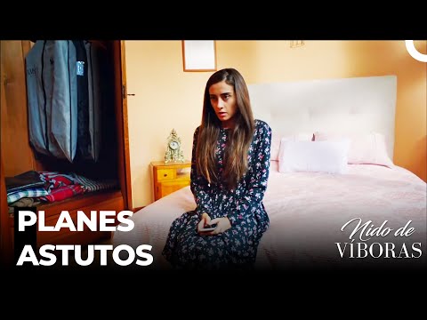 Elvan Se Salvó De Los Problemas - Nido De Víboras